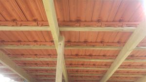 20161019_130616 (Medium)